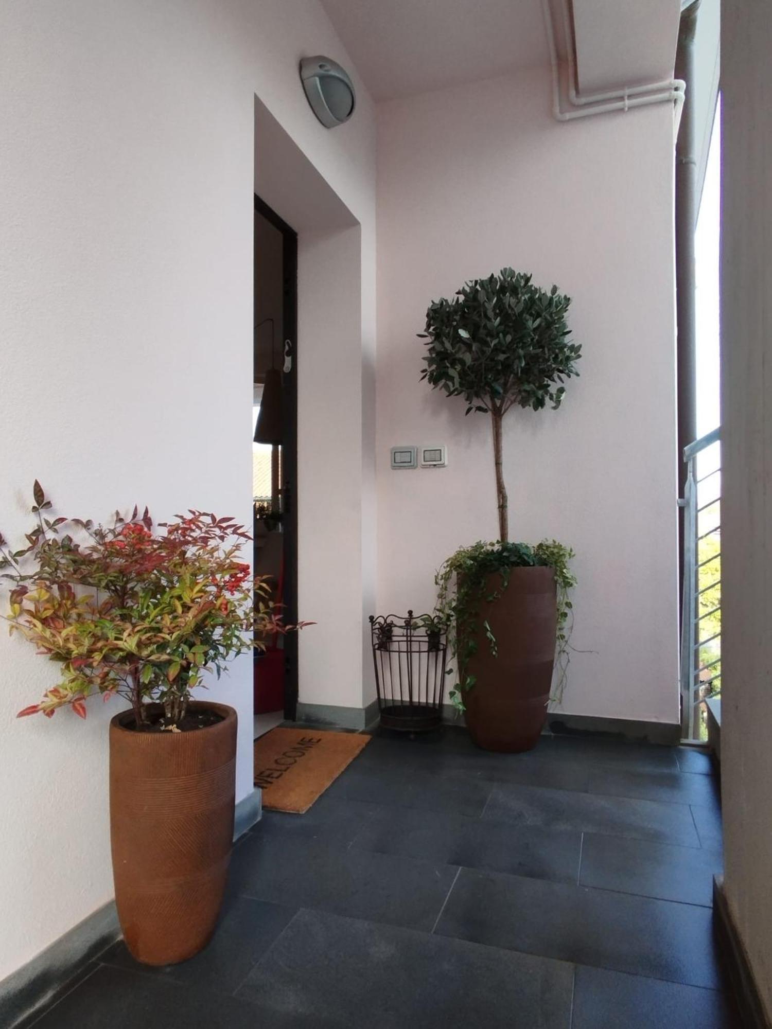 ルッカCasa Degli Aromiアパートメント エクステリア 写真